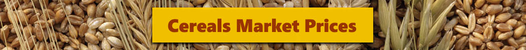 Cereals Market Prices