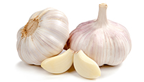 Garlic Market Prices