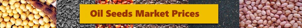 Oil Seeds Market Prices