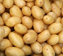 Potato Market Prices