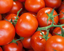 Tomato Market Prices