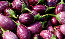 Brinjal Market Prices